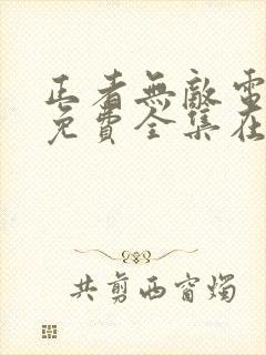 正者无敌电视剧免费全集在线观看