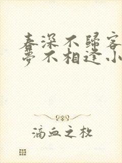 春深不归客,清梦不相逢小说免费阅读