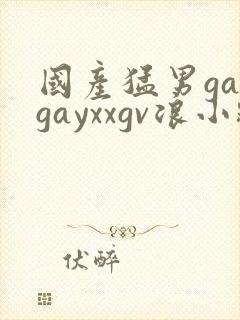 国产猛男gaygayxxgv浪小辉