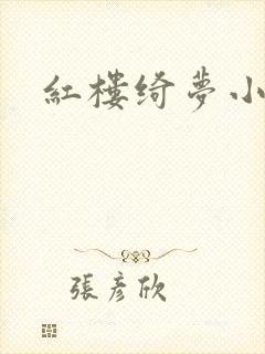 红楼绮梦小说封面