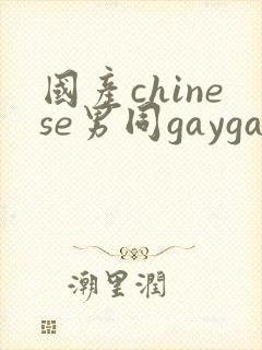 国产chinese男同gaygay网站