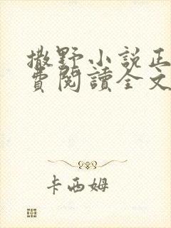 撒野小说正版免费阅读全文无删减封面