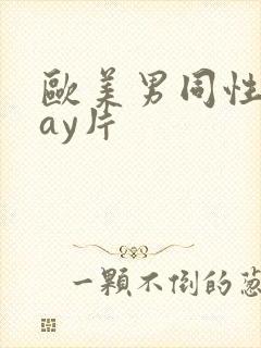 欧美男同性恋gay片封面