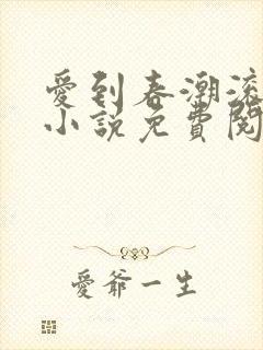 爱到春潮滚滚来小说免费阅读封面