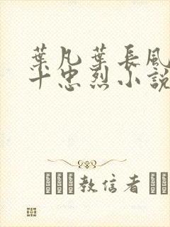 叶凡叶长风一门十忠烈小说书名封面