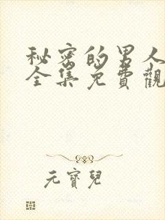 秘密的男人高清全集免费观看封面