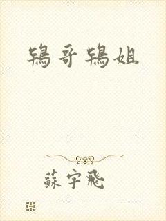 鸨哥鸨姐封面
