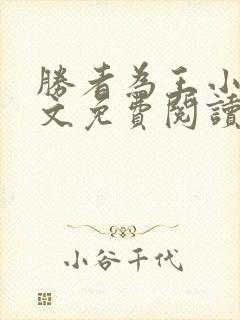 胜者为王小说全文免费阅读无删减封面