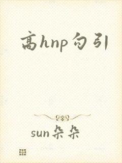 高hnp勾引