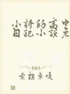 小诗的高中成长日记小说免费阅读