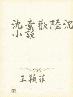 沈意欢陆沉舟的小说