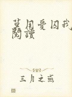 莫用爱囚我小说阅读