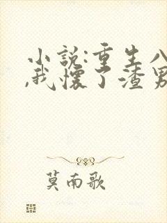 小说:重生八零,我怀了渣男的崽封面