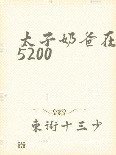 太子奶爸在花都5200封面