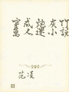 穿成炮灰竹马的万人迷小说