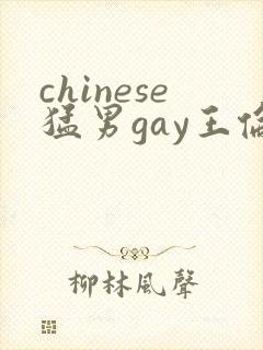 chinese猛男gay王伦宝vide0s
