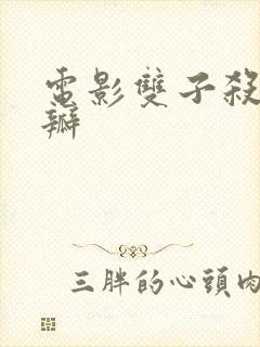 电影双子杀手豆瓣封面