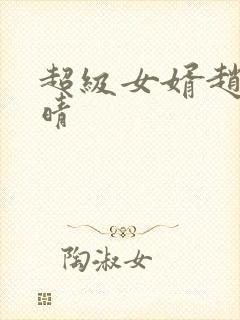 超级女婿赵旭李晴