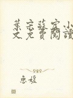 叶宋苏宸小说全文免费阅读封面