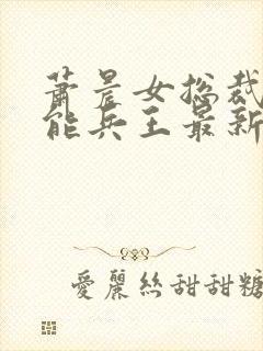 萧晨女总裁的全能兵王最新更新txt