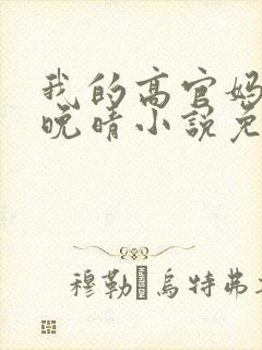 我的高官妈妈苏晚晴小说免费阅读