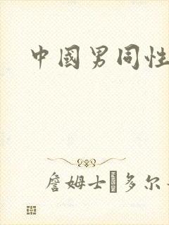 中国男同性视频