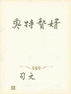 奥特赘婿封面