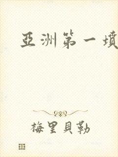 亚洲第一坟封面