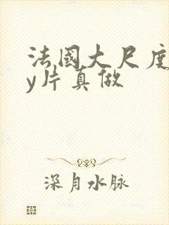 法国大尺度gay片真做