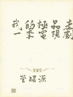 我的极品老婆第一季电视剧免费观看