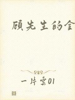 顾先生的金丝雀