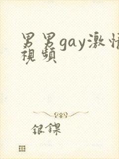 男男gay激情视频