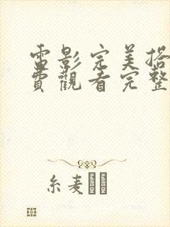 电影完美搭档免费观看完整版高清封面