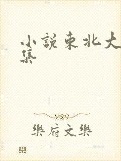 小说东北大炕全集