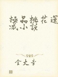 极品桃花运未删减小说