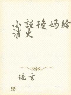 小说后妈给我消消火封面