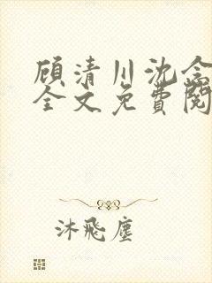 顾清川沈念小说全文免费阅读封面