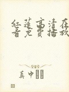 红莲高清在线观看免费播放电视剧封面