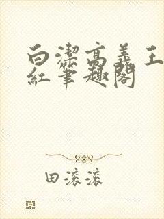 白洁高义王申美红笔趣阁