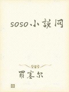 soso小说网封面