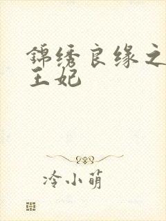 锦绣良缘之北地王妃封面