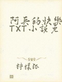 阿兵的快乐生活TXT小说免费阅读全章封面