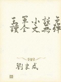 王军小说免费阅读全文无弹窗