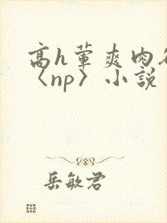 高h荤爽肉欲文〈np〉小说