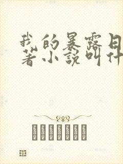 我的暴露日记原著小说叫什么