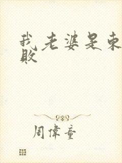 我老婆是东方不败