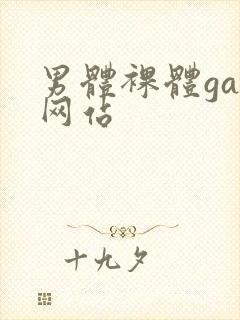 男体裸体gay网站封面