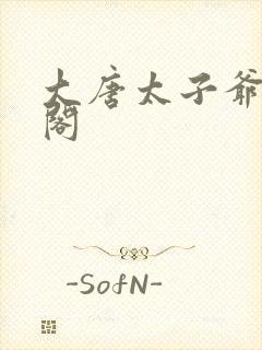 大唐太子爷笔趣阁