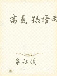 高义 孙倩赵敏封面