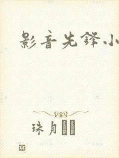 影音先锋小说封面